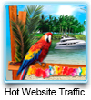 hot website traffic